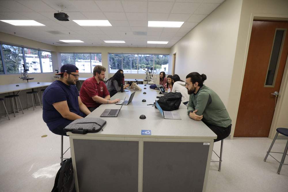 Students using laptops